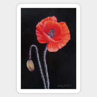 Poppy painting Sticker